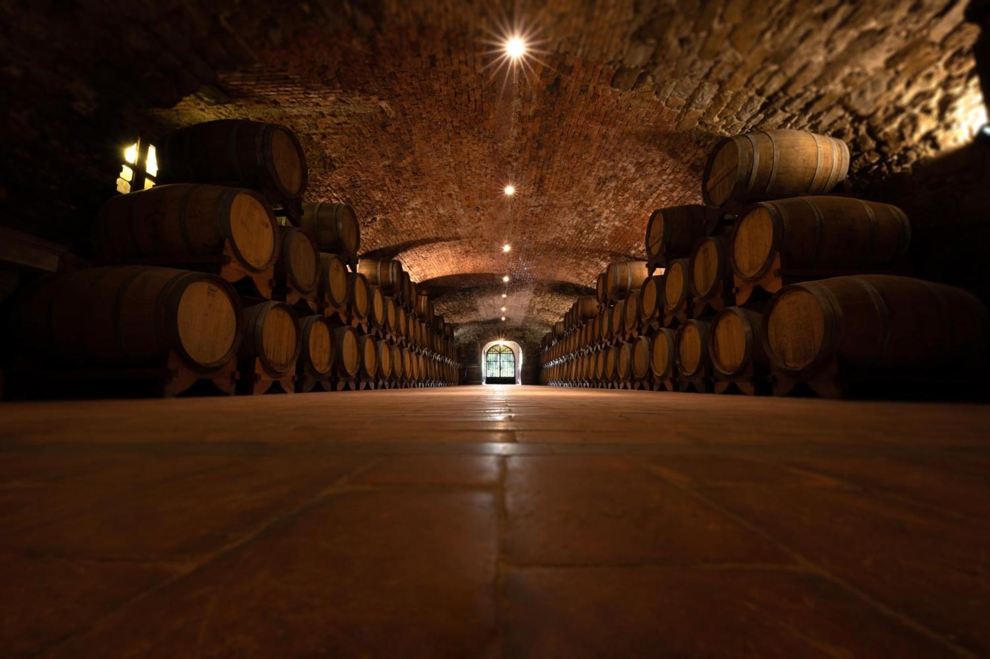 فندق Castello Di Spessa - Residenze D'Epoca Capriva del Friuli المظهر الخارجي الصورة